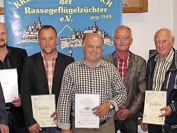Mit der Silbernen beziehungsweise Goldenen Bundesnadel wurden vom Bund Deutscher Rassegeflügelzüchter einige Züchter geehrt. Das Bild zeigt (von links) Klaus Ruppert, Tobias Hofmann, Marco Oßmann, Werner Schmidt, Bernd Oßmann, Heinz Harthan und Harald Renner. Foto: Dieter Wolf