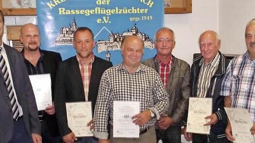 Mit der Silbernen beziehungsweise Goldenen Bundesnadel wurden vom Bund Deutscher Rassegeflügelzüchter einige Züchter geehrt. Das Bild zeigt (von links) Klaus Ruppert, Tobias Hofmann, Marco Oßmann, Werner Schmidt, Bernd Oßmann, Heinz Harthan und Harald Renner. Foto: Dieter Wolf