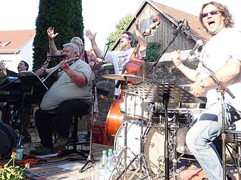 Jan Jansen, Christof Lemberg, Roland Schiefnetter, Michael Sommermann und Harry Tröger begeisterten als Band "Waldschrat" wieder einmal das Münnerstädter Publikum. Foto: Heike Beudert