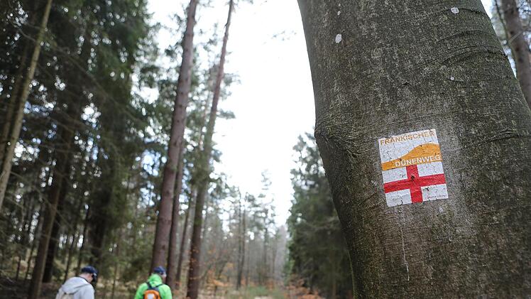 Unterwegs auf unserer Dünenwanderung mit Andi Schettler. Foto: Barbara Herbst