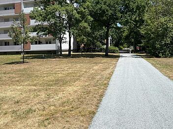 "Ungewohnter Bodenbelag" in Bamberg: Stadt testet neues Verfahren "Ungewohnter Bodenbelag" in Bamberg: Stadt testet neues Verfahren