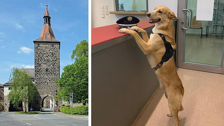 "Jake" auf der PI Neustadt an der Aisch