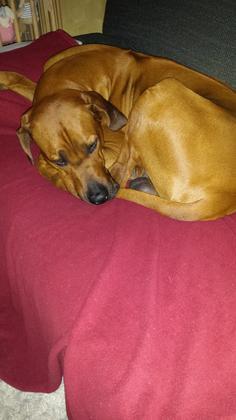 Foto: Tito2578