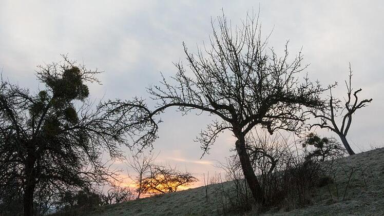 Foto: Barbara Herbst