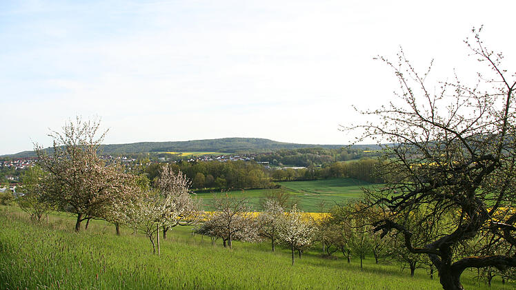 Landkreis Bamberg: Streuobst-Projekt feiert Auftakt - "alte und besonders wertvolle Best&auml;nde"