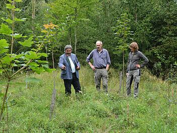 Heinrich Förster, Fridolin Zehner und Hannah Severin bei der Begutachtung eines Waldstücks. Foto: Björn Hein