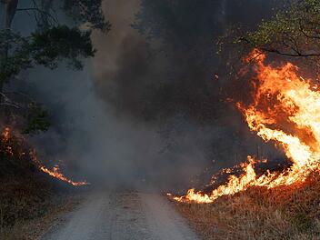 Waldbrand im H&uuml;rtgenwald