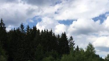 Zwei Privatleute würden gerne bei Nurn ein Feriendorf aufbauen. Foto: privat