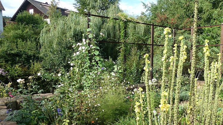 Der Staudengarten von Christin Kenner aus Zeitlofs, umgeben von den alten Grundmauern.Dieter Büttner