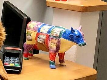 Bamberg: Dreiste Diebe stehlen "Trinkgeldkuh" der Tierarztpraxis am Hauptsmoorwald