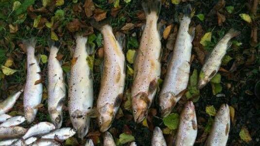 Foto: Christoph Oppel