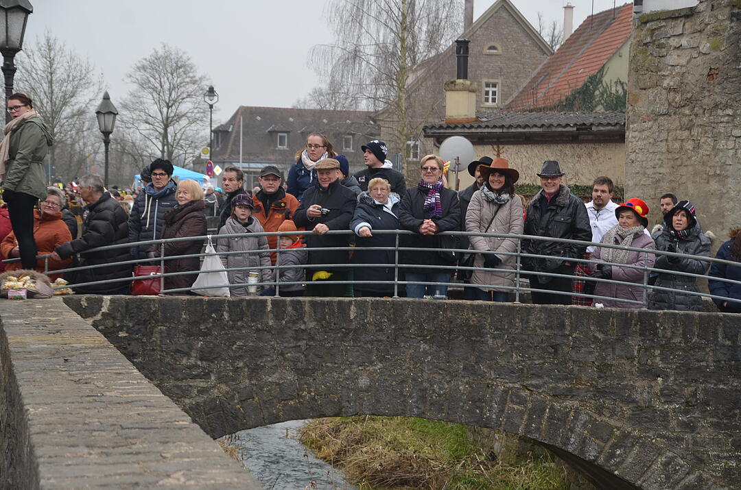 Landkreisfaschingszug 2015