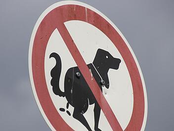 Bef&uuml;rchtung: Gr&uuml;nfl&auml;che als Hundeklo?