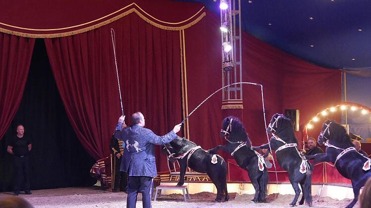 Impressionen rund um die Premiere des "Circus Henry" in Dörfles-Esbach (Landkreis Coburg). Dort gastiert der Zirkus noch bis Anfang Oktober - mit Vorstellungen jeden Samstag und Sonntag. - Foto: Manja von Nida