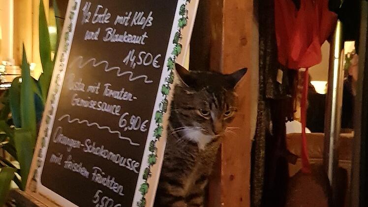 Kofferfabrik Fürth erhält Kündigung