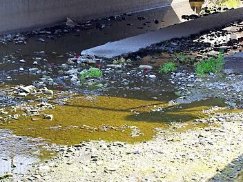 Der Kronach Fluss zwischen Spital- und Europabrücke hat auch schon mal andere Wasserstände gesehen.  Foto: Marco Meißner