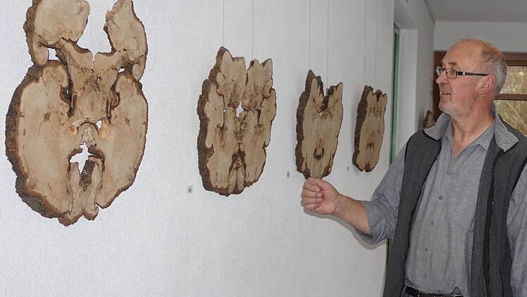 Herbert Holzheimer zeigt das ehemalige Münnerstädter Naturdenkmal in seiner aktuellen Ausstellung im Haus der Schwarzen Berge.  Foto: M. Eckert