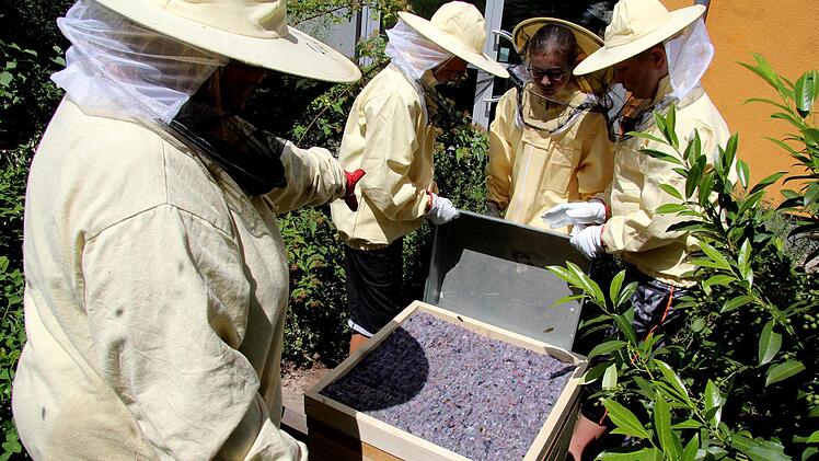 Der Bienenkasten wird zum ersten Mal geöffnet. Foto: Richard Sänger