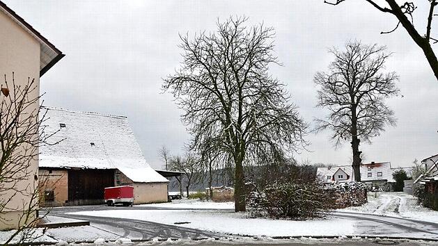 Am Ende der Schmiedstra&szlig;e in Beutelsdorf soll eine Baul&uuml;cke gef&uuml;llt werden. Dort steht auch eine stattliche alte Eiche (rechts).  Foto: Bernhard Panzer