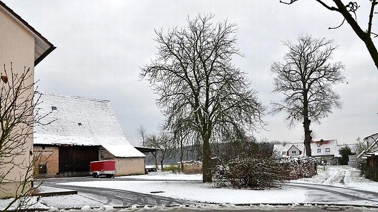 Am Ende der Schmiedstraße in Beutelsdorf soll eine Baulücke gefüllt werden. Dort steht auch eine stattliche alte Eiche (rechts).  Foto: Bernhard Panzer
