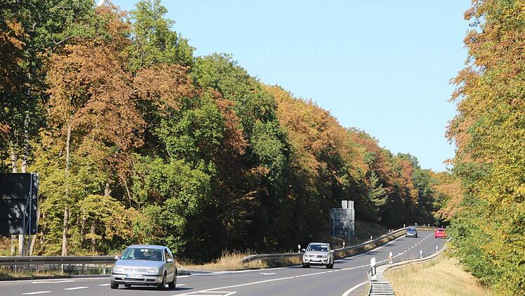 Die ersten Bäume sind schon braun verfärbt wie hier auf der B 287 zwischen Münnerstadt und Nüdlingen. Foto: Heike Beudert