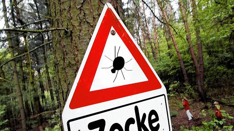 Borreliose-F&auml;lle in Brandenburg