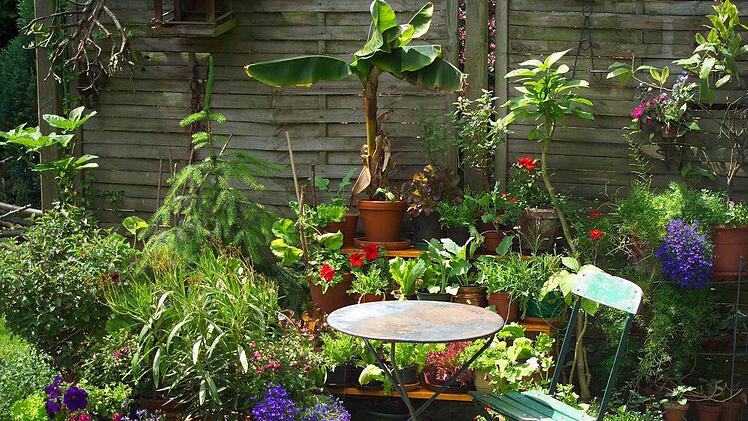 Gartenidylle