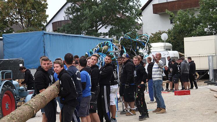 Die Ortsburschen beim Aufstellen des Kerwabaums Foto: Richard Sänger