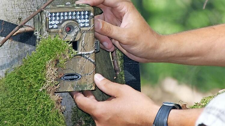 Scheffler überprüft die Wild-Kamera, die er Ende April im Auftrag des Landratsamtes am Brutplatz installiert hat.Fotos: Ulrike Müller