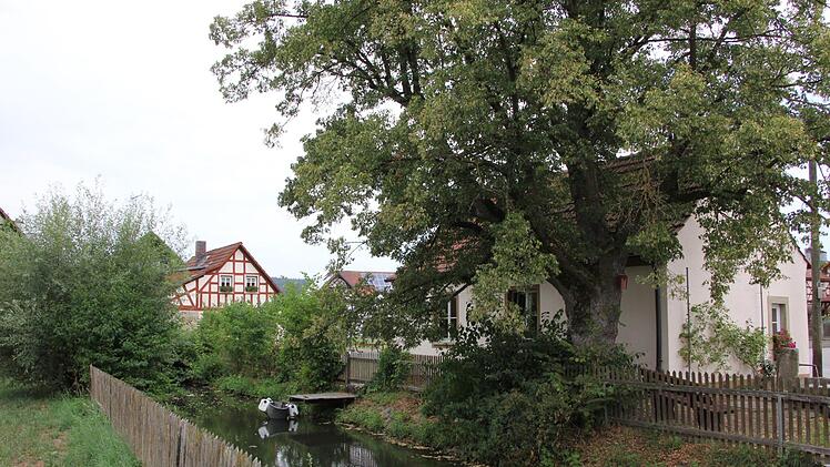 Impressionen aus dem Bischwinder Dorfleben.Foto: Thomas Neder