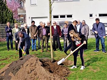 Der Ehrenpreis von Landrat Klaus Löffler - ein fünf Meter hoher Schwarznussbaum - war bei der Herbstversammlung 2018 an den Gartenbauverein Kronach gegangen. Bei der Pflanzung unterstützte die zwölfjährige Sophie Kern den Landkreischef tatkräftig.  Foto: Gerd Fleischmann