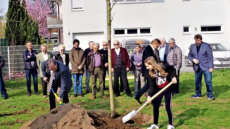 Der Ehrenpreis von Landrat Klaus Löffler - ein fünf Meter hoher Schwarznussbaum - war bei der Herbstversammlung 2018 an den Gartenbauverein Kronach gegangen. Bei der Pflanzung unterstützte die zwölfjährige Sophie Kern den Landkreischef tatkräftig.  Foto: Gerd Fleischmann