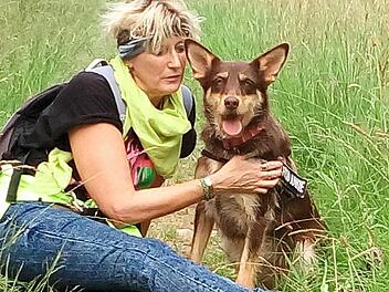 Die H&uuml;ndin Goya ist aktiv und liebt K&ouml;rperkontakt. Sie wartet jetzt schon eineinhalb Jahre im Tierheim auf ein Zuhause.