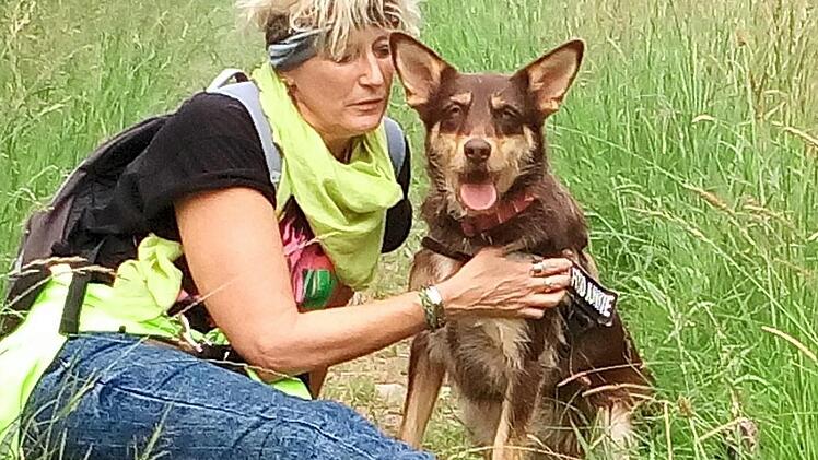 Die H&uuml;ndin Goya ist aktiv und liebt K&ouml;rperkontakt. Sie wartet jetzt schon eineinhalb Jahre im Tierheim auf ein Zuhause.