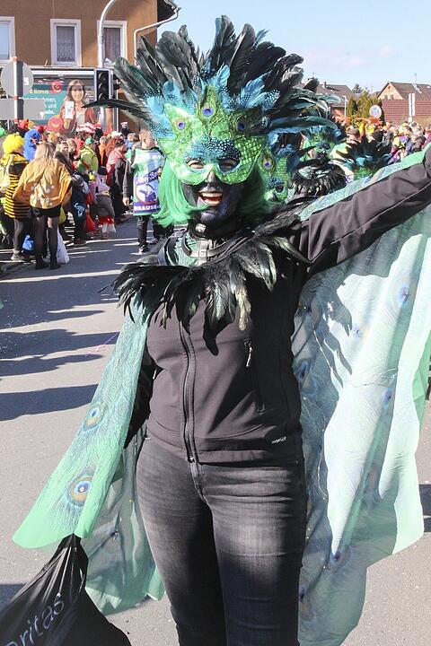 Fasching 2025 in Stadtsteinach!