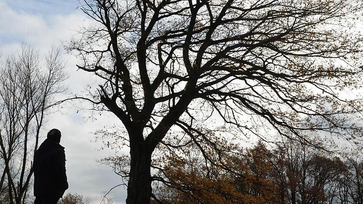 Foto: Ronald Rinklef