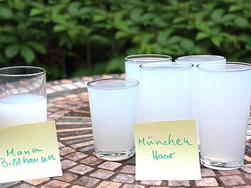 Die Regenmenge von Mai und Juni in Maria Bildhausen und Haar zeigt,wie groß der Unterschied zwischen dem südlichen und dem nördlichen Bayern ist.  Foto: Heike Beudert