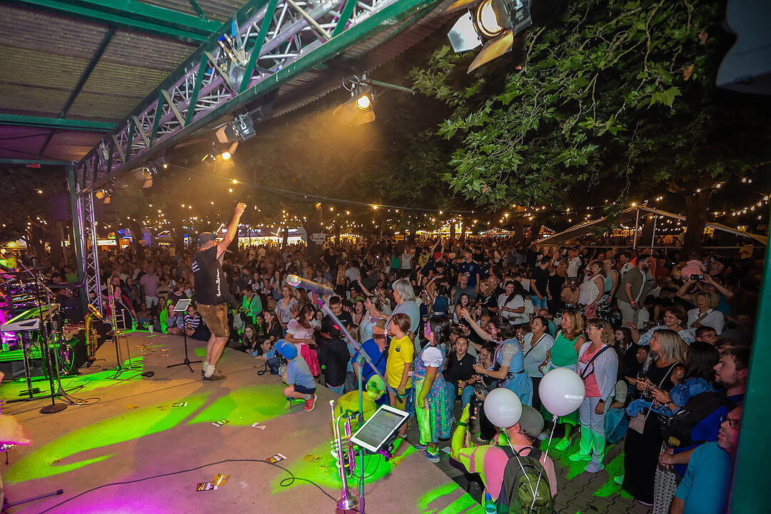 Impressionen vom größten Weinfest in Franken!