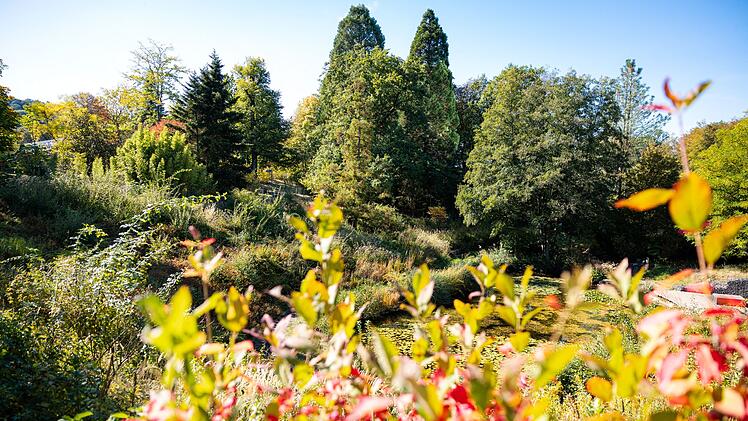 Herbst in Saarland