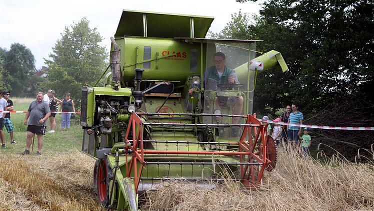 Der Claas "Schmalspur" Mähdrescher hat Einzug gehalten und bereits auf den Feld die Ernte vom Stroh getrennt.  Foto: Michael Wunder