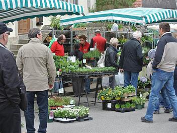 Etliche Gärtnereien aus dem Landkreis Haßberge und darüber hinaus boten in Rügheim Pflanzen an. Da gab es schöne Balkonpflanzen, aber auch interessante Kräuter. So manche Seltenheit war darunter. Zum Beispiel der mehrjährige, aber leider nicht winterharte Pfirsichsalbei.