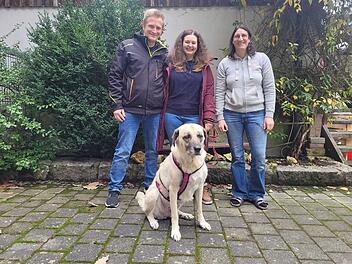Tierheim Kulmbach: Hündin muss fast drei Jahre auf Zuhause warten - "nie zu spät"