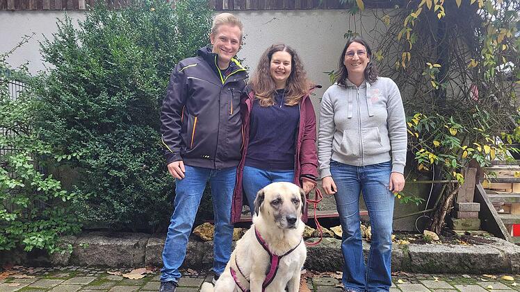 Tierheim Kulmbach: Hündin muss fast drei Jahre auf Zuhause warten - "nie zu spät"