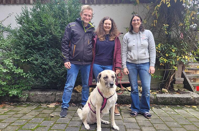 Hündin aus Tierheim Kulmbach erlebt glückliche Wendung: "Nie zu spät"