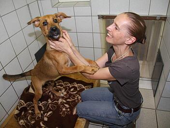 Der vier Monate alte Welpe Willy war der Star des Wochenendes: Alle liebten den hellbraunen Mischlingshund und viele hätten ihn sofort mitgenommen, aber Willy hat ein Augenleiden, erklärt Susanne Schilling. Fotos: Sonja Adam