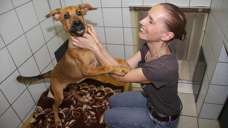 Der vier Monate alte Welpe Willy war der Star des Wochenendes: Alle liebten den hellbraunen Mischlingshund und viele hätten ihn sofort mitgenommen, aber Willy hat ein Augenleiden, erklärt Susanne Schilling. Fotos: Sonja Adam