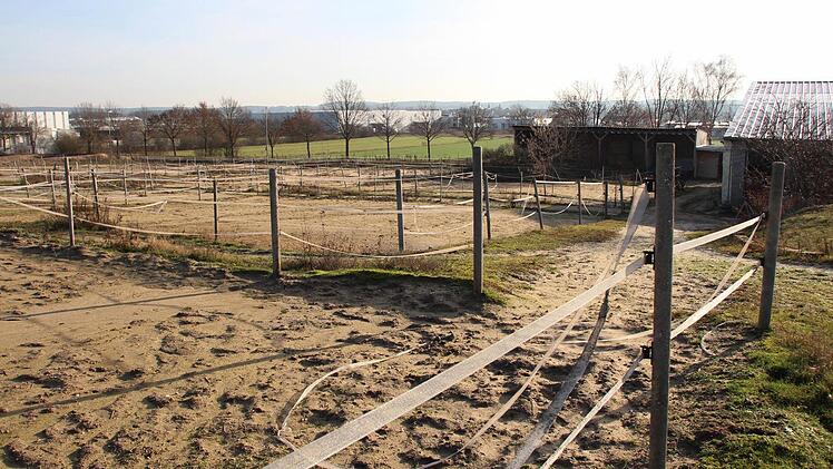 Die Koppeln des Höchstadter Reit- und Fahrvereins sind verlassen. Foto: Andreas Dorsch