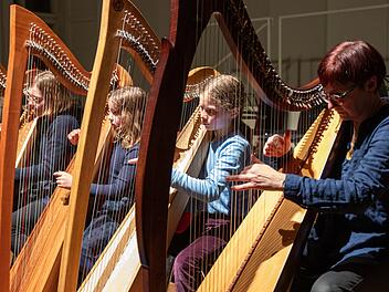 Bamberg: "Saitentanz" - Musikschule lädt zu Zupfinstrument-Konzert ein