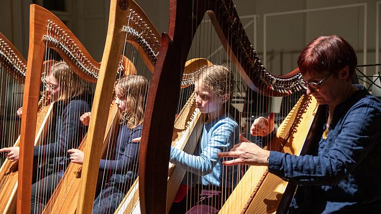 Bamberg: "Saitentanz" - Musikschule lädt zu Zupfinstrument-Konzert ein