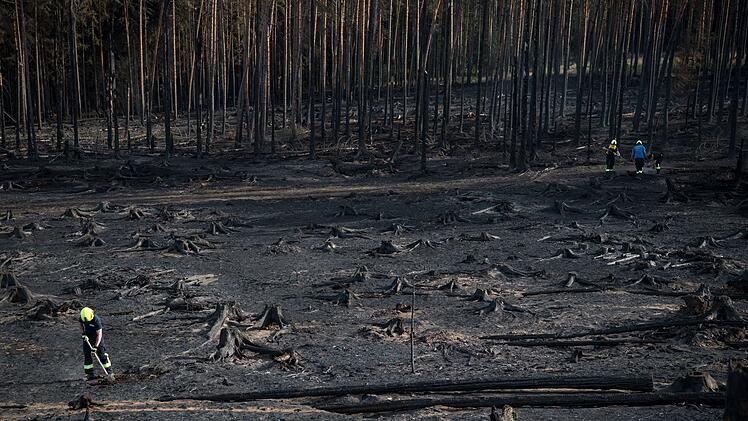 Waldbrand in Thüringen - Saalfelder Höhe